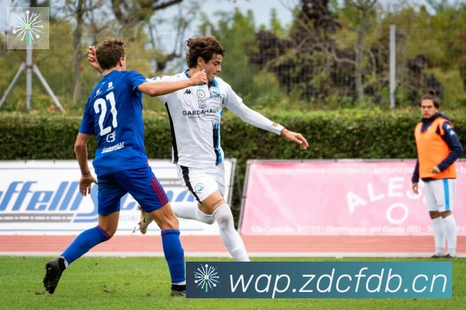 雅博app官网荣誉