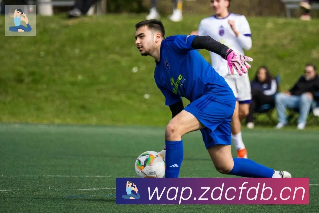 雅博app官网荣誉